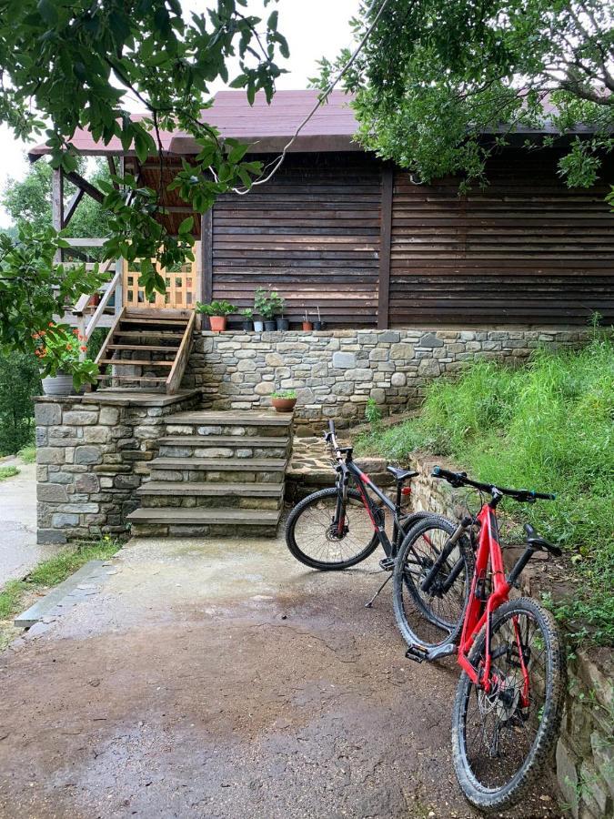 Origjina Farm Villa Permet Exterior photo